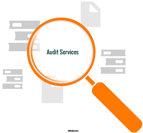 stock-audit-services-bizindigo.com stock audit services