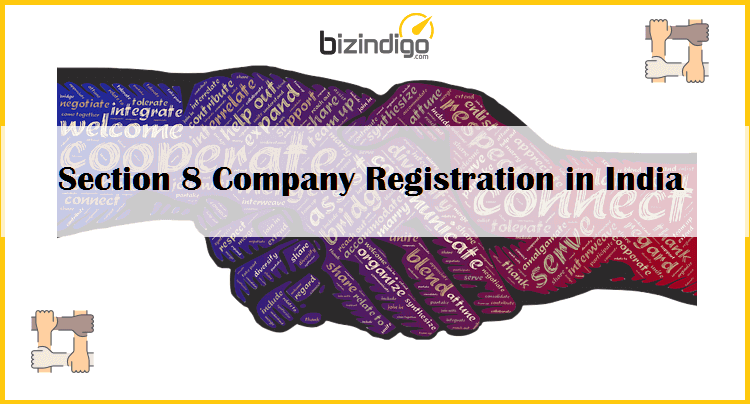 section_8_company_registration_bizindigo