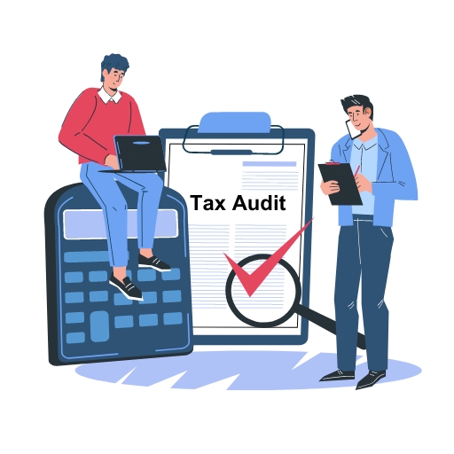 tax audit services